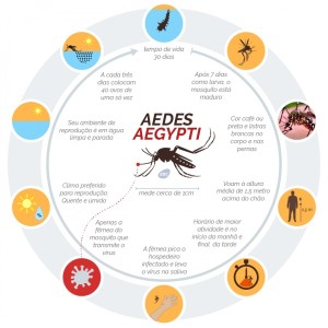 Infectologista grafico