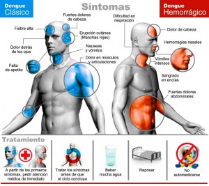 dengue grafico