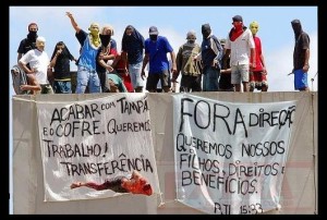 rebeliao urso braco 2004
