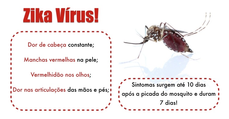 Zika - mitos e verdades