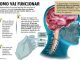 Técnica promete ressuscitar pacientes com morte cerebral