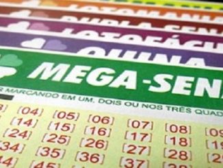 Lotofácil 1446 e Quina 4254: sorteio em 09/12