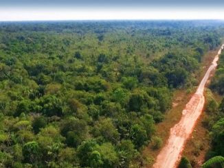 A diligência na BR-319, no trecho Porto Velho (RO)/Manaus (AM), será realizada de 15 a 18 de janeiro próximo como forma de verificar as obras de manutenção e a trafegabilidade da rodovia nas condições do inverno amazônico.