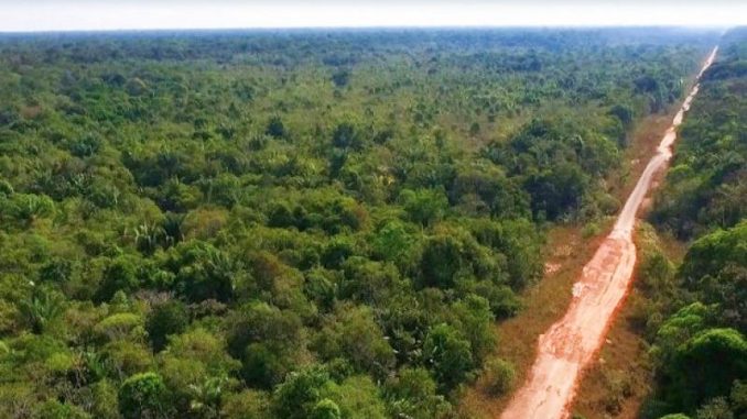 A diligência na BR-319, no trecho Porto Velho (RO)/Manaus (AM), será realizada de 15 a 18 de janeiro próximo como forma de verificar as obras de manutenção e a trafegabilidade da rodovia nas condições do inverno amazônico.