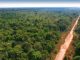 A diligência na BR-319, no trecho Porto Velho (RO)/Manaus (AM), será realizada de 15 a 18 de janeiro próximo como forma de verificar as obras de manutenção e a trafegabilidade da rodovia nas condições do inverno amazônico.