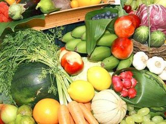 A pedido do senador Raupp, governo federal sanciona Lei que prorroga prazo para quitação e renegociação das dívidas de produtores rurais