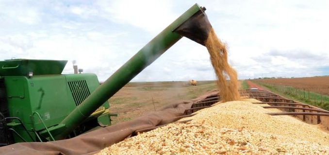 Safra de cereais, leguminosas e oleaginosas deste ano deve ser 3,1% maior que a produção de 2018    (Arquivo/Agência Brasil)