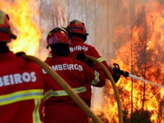 A proposta define ainda objetivos como reaparelhar os corpos de bombeiros militares.