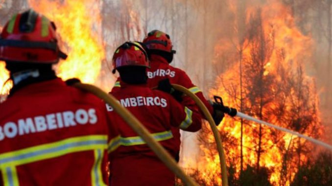 A proposta define ainda objetivos como reaparelhar os corpos de bombeiros militares.