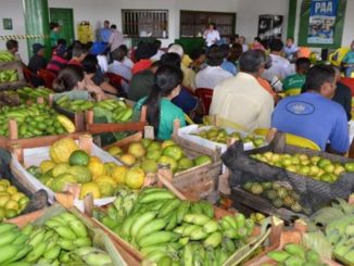 Governo tem que voltar a comprar alimentos da agricultura familiar