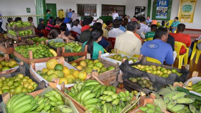 Governo tem que voltar a comprar alimentos da agricultura familiar