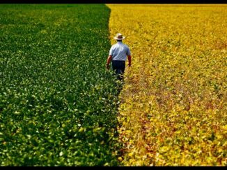 Acir Gurgacz cobra apoio do governo para o agronegócio