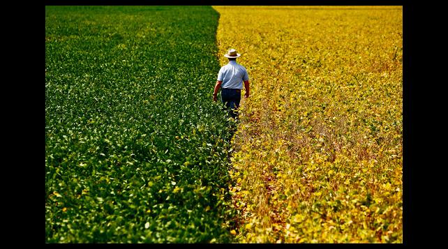 Acir Gurgacz cobra apoio do governo para o agronegócio