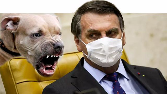 Indicação agrava crise na base e Bolsonaro sai como traidor