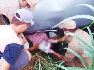 Resgate feito pelo Corpo de Bombeiros de Jaru. Foto: A Notícia Mais