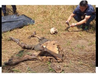Ossada humana encontra por uma mulherquando fazia colheira de tucumã na zona rural de Porto Velho.