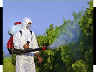 Aplicadores de agrotóxico precisam de capacitação