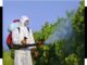 Aplicadores de agrotóxico precisam de capacitação