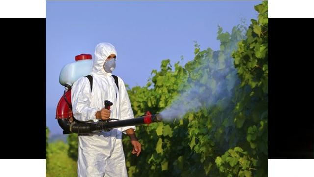 Aplicadores de agrotóxico precisam de capacitação