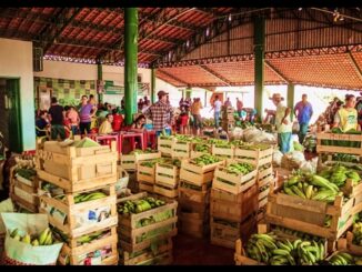 Cláudia de Jesus pede do governo estadual avanços na economia solidária de Rondônia