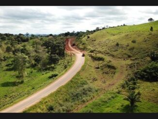 Cláudia de Jesus pede por recuperação da RO-010 entre o Distrito Tarilândia e Mirante da Serra