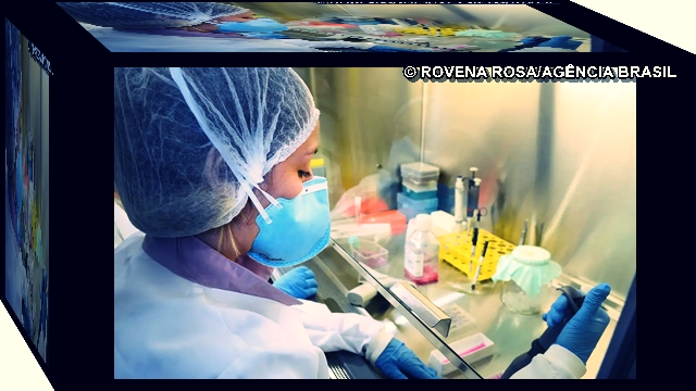 Vacina contra Zika avança com testes em camundongos