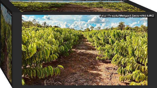 Objetivo da deputada CLáudia de Jesus é de ampliar a produtividade agrícola e apoiar o trabalho dos pequenos produtores.