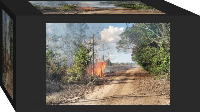 Investigada denúncias de intimidação contra povo Puruborá em Rondônia