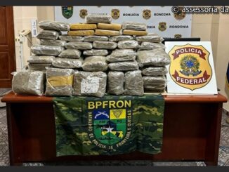 Forças de segurança apreenderam 103,9 quilos de skunk durante operação em Nova Mutum Paraná.