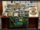 Forças de segurança apreenderam 103,9 quilos de skunk durante operação em Nova Mutum Paraná.