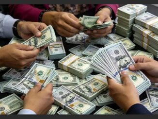 Cotação do dólar, desempenho da bolsa brasileira e valorização do petróleo no mercado financeiro.