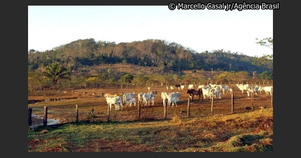 Conforme aumenta a distância das vias, a participação da agropecuária no território diminui, com a presença dessas atividades em 26,7% das áreas.